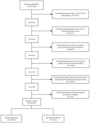 Association between the inflammatory burden index and rheumatoid arthritis and its all-cause mortality: data from NHANES 1999–2018